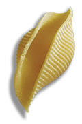 Conchiglioni